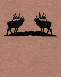 Twin Elk